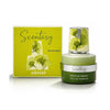 ARMAF SCENTASY MATCHA MAGIX EDP 100ML
